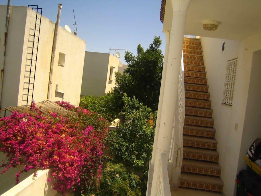 Studio Marsa المرسى المظهر الخارجي الصورة